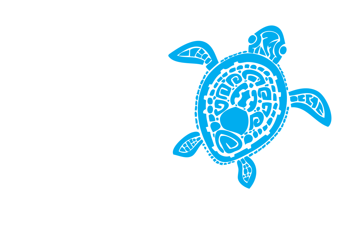 Great Turtle Kayak Tours